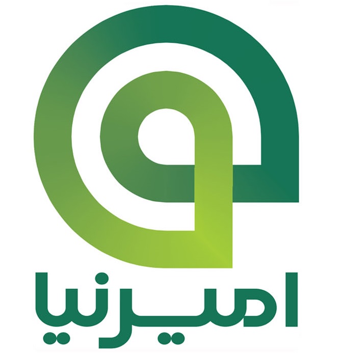 امیرنیا