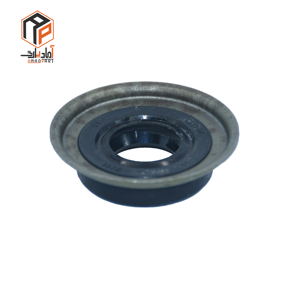 100641-1 عکس کاسه نمد ماهک تعویض دنده 405 تایوانی (کاسه نمد شفت تعویض دنده 405) IPNC- 100641