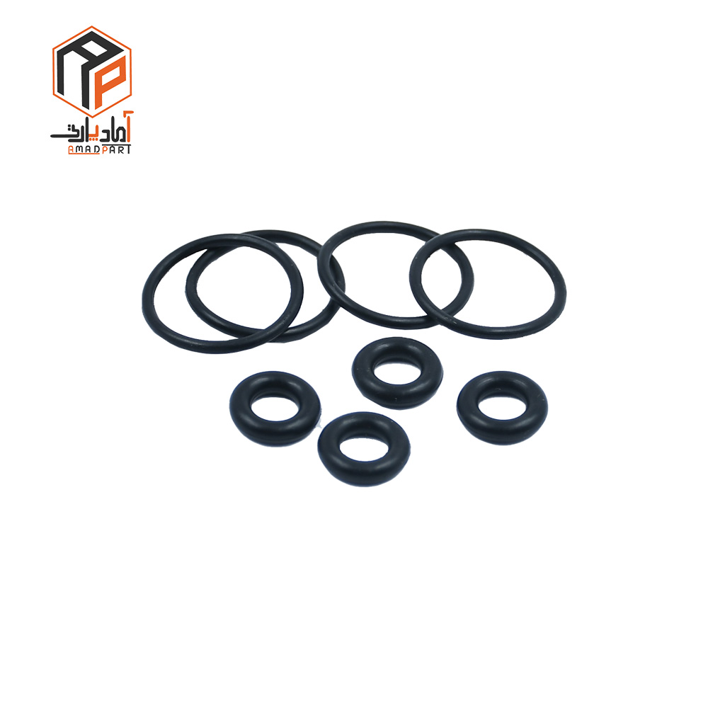 عکس اورینگ سوزن انژکتور 405 قدیم IPNC- 100775