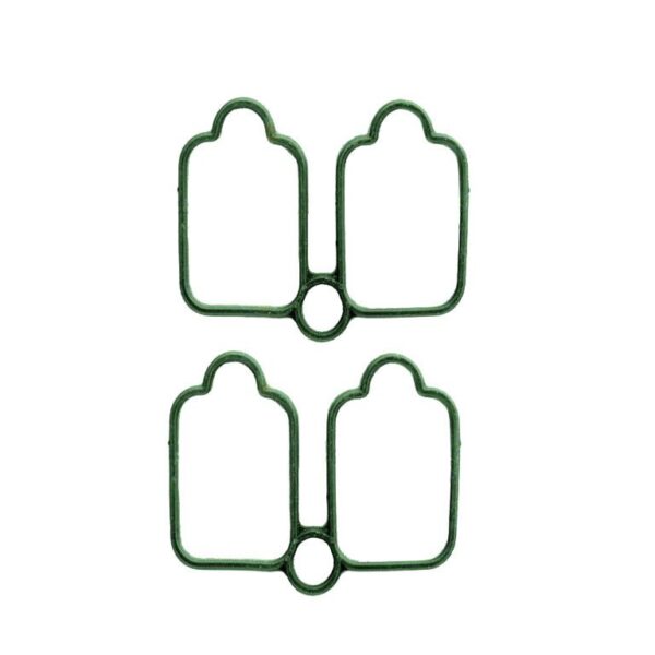 واشر منیفولد 405 جدید عینکی دو گانه سوز IPNC