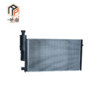 عکس رادیاتور آب 405 کلاسیک دو لول IPNC - 100879