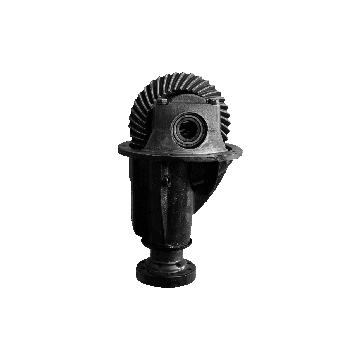 کله گاوی آریسان IPNC - Image 1