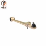 عکس طبق کامل تیبا راست IPNC-140875