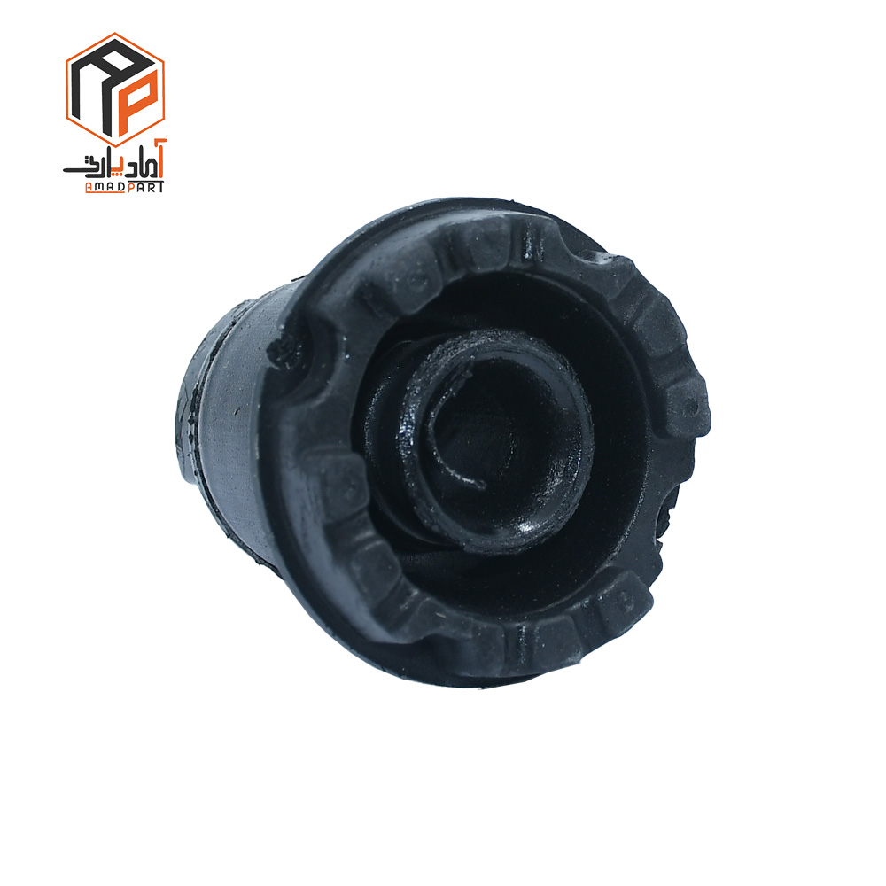 عکس بوش اکسل ژامبون 206 گرد IPNC - 120213
