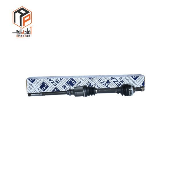 پلوس کامل زانتیا بلند راست عظام