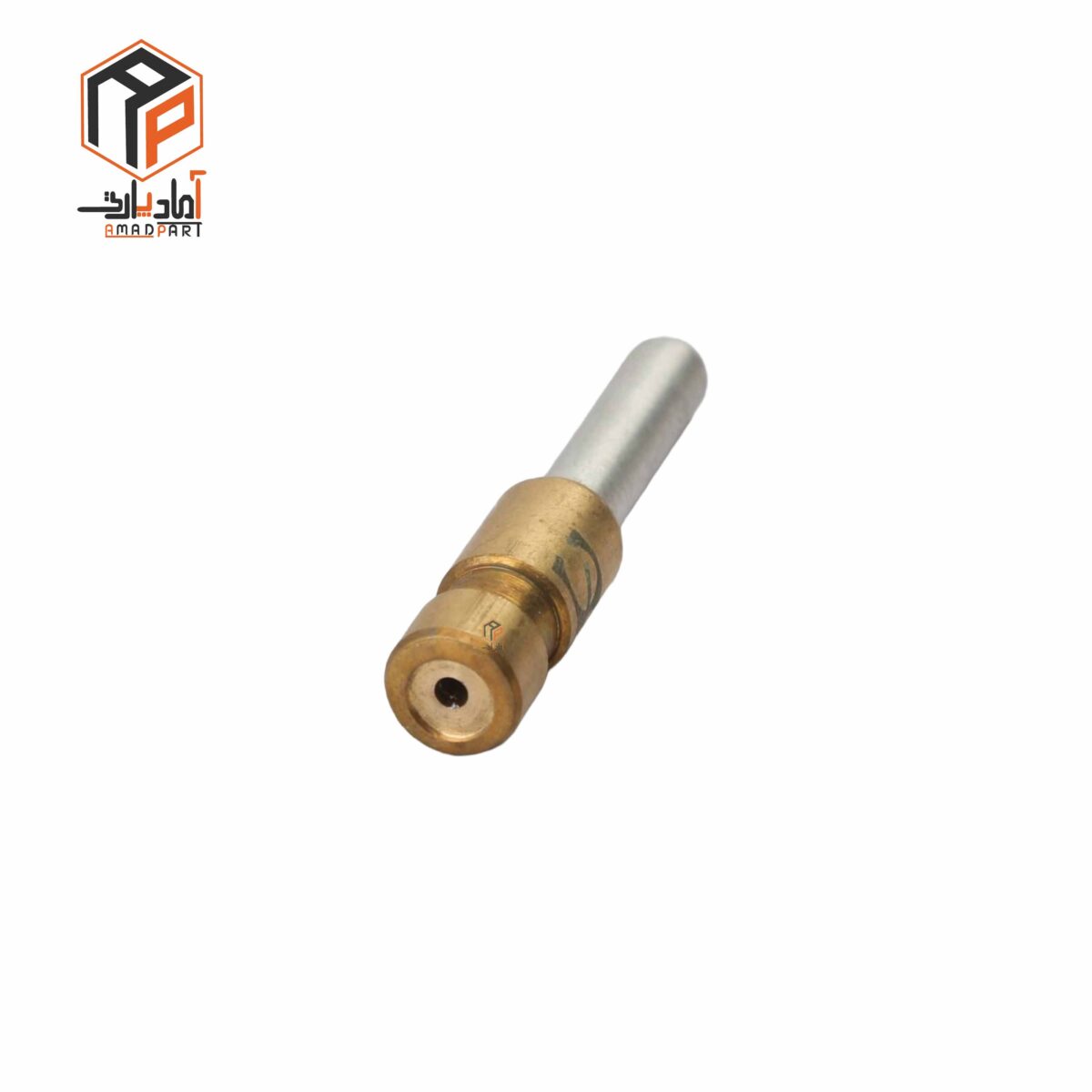 عکس ژیگلور کفی کاربراتور پیکان IPNC- 130113