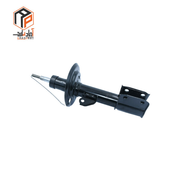 کمک جلو شاهین چپ عظام