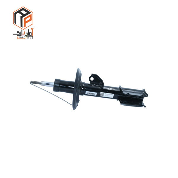 کمک جلو شاهین راست عظام