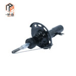 کمک جلو تارا راست عظام - Image 4